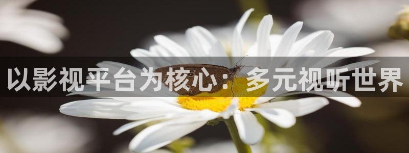 窝窝在线观看免费观看电视剧高清