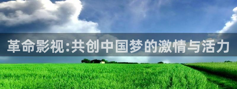 窝窝影院高清电视剧免费