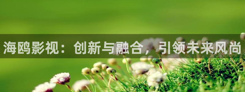 窝窝影院免费观看高清电视剧在线观看